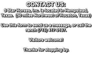 CONTACT US: 5 Star Horses, Inc. is located in Hempstead, Texas. (50 miles Northwest of Houston, Texas) Use this form to send us a message, or call the ranch (713) 417-0107. Visitors welcome! Thanks for stopping by. 